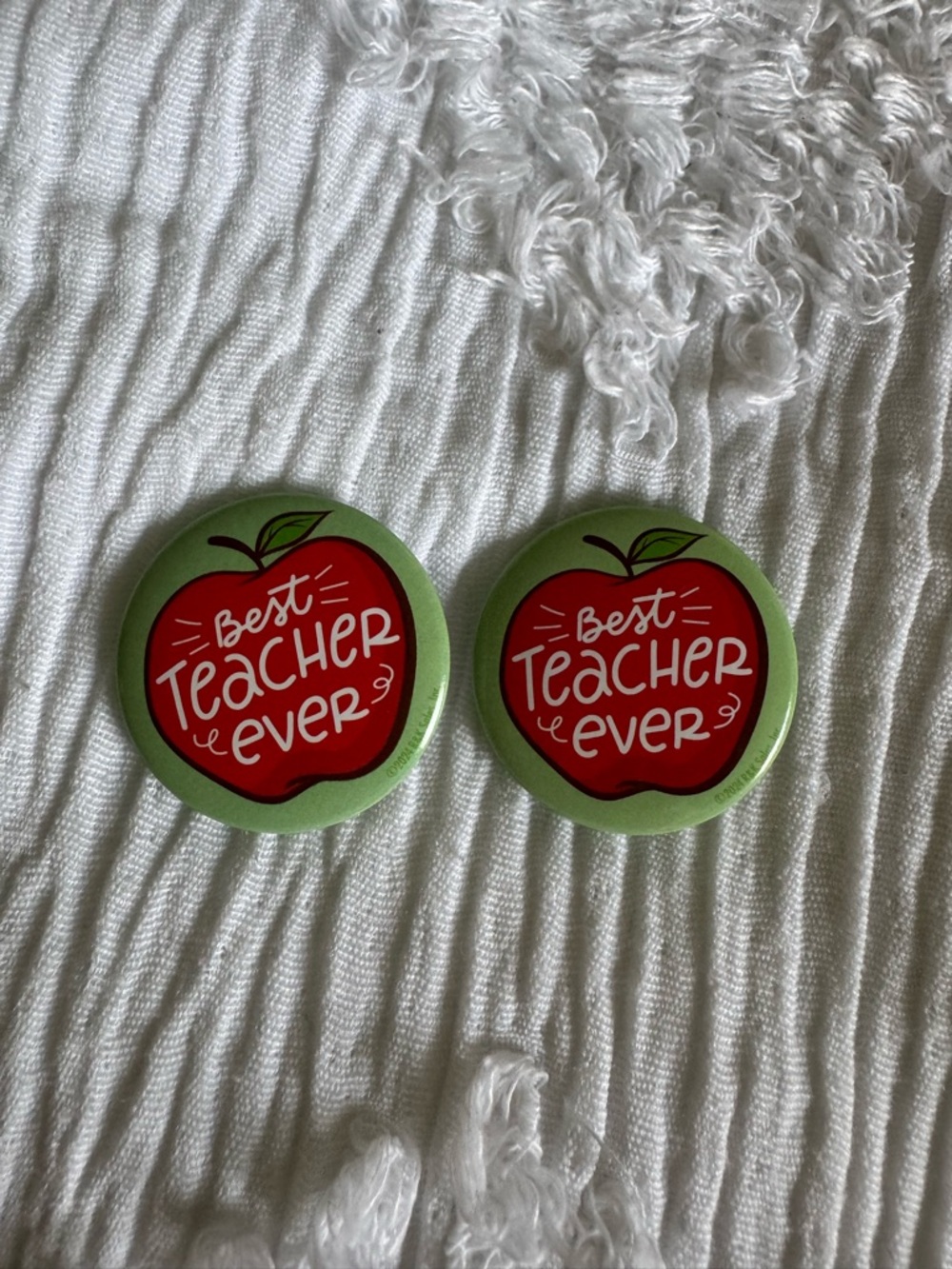 Best Teacher Ever Apple Pins - Red & Green (Set of 2)